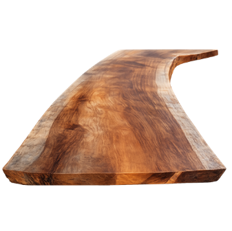 TRONCO DE MADERA COMEDOR ADD