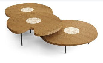 NINFEIA MESA DE CENTRO NEVOA +METAL 915X850X300