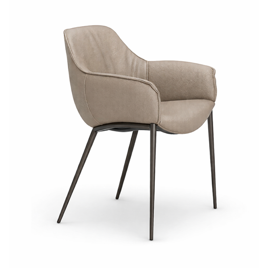 SILLA DE COMEDOR SCARLETT ML CAT