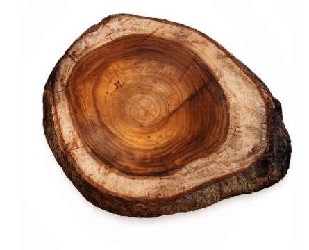 TRONCO DE MADERA CIRCULAR ADD